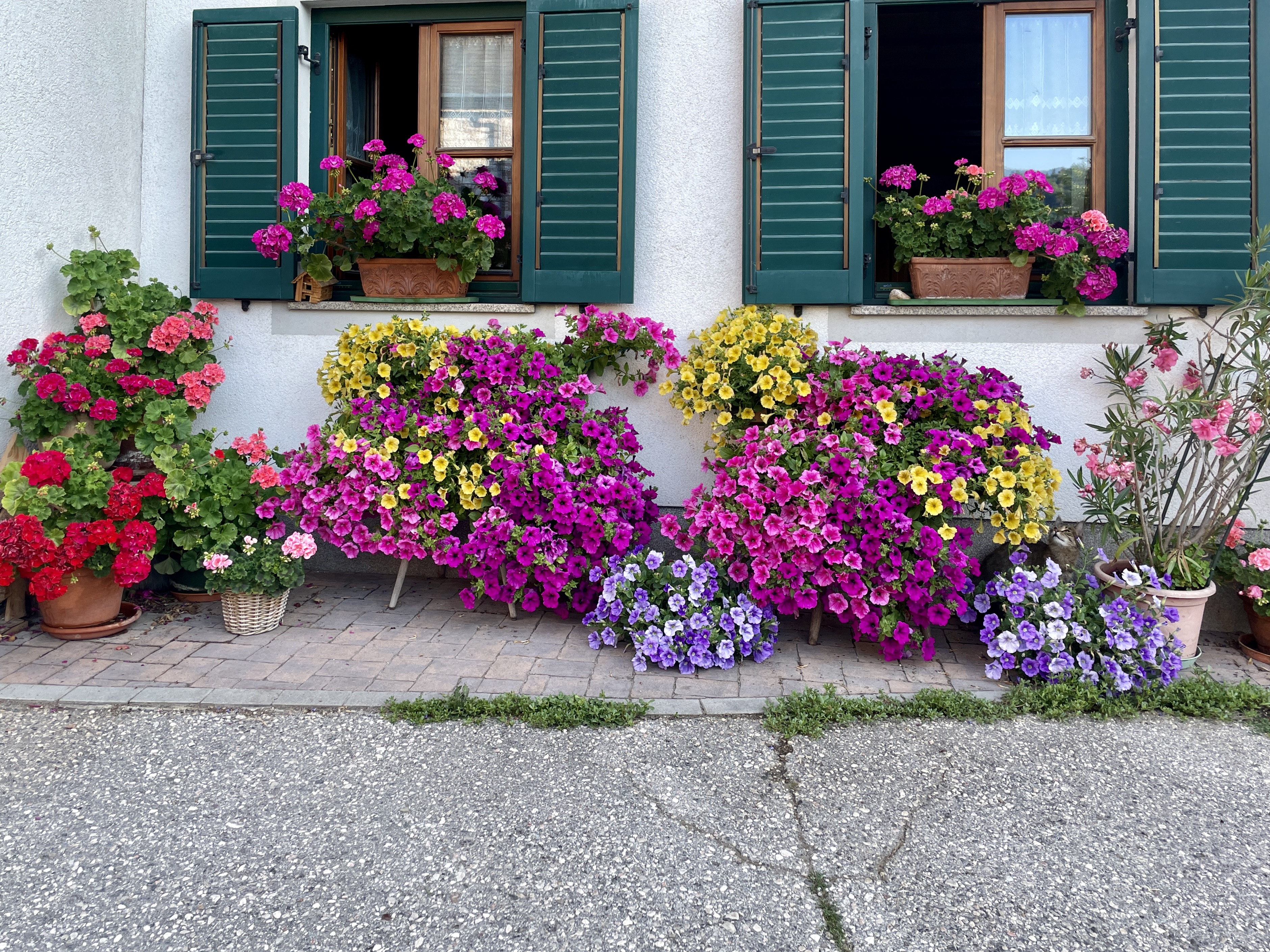 A House in the Village